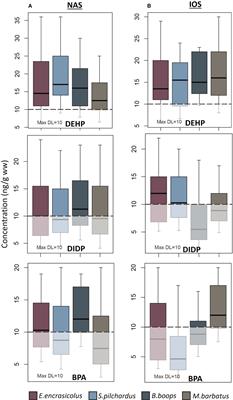 Plastic additives in commercial fish of Aegean and Ionian Seas and potential hazard to human health